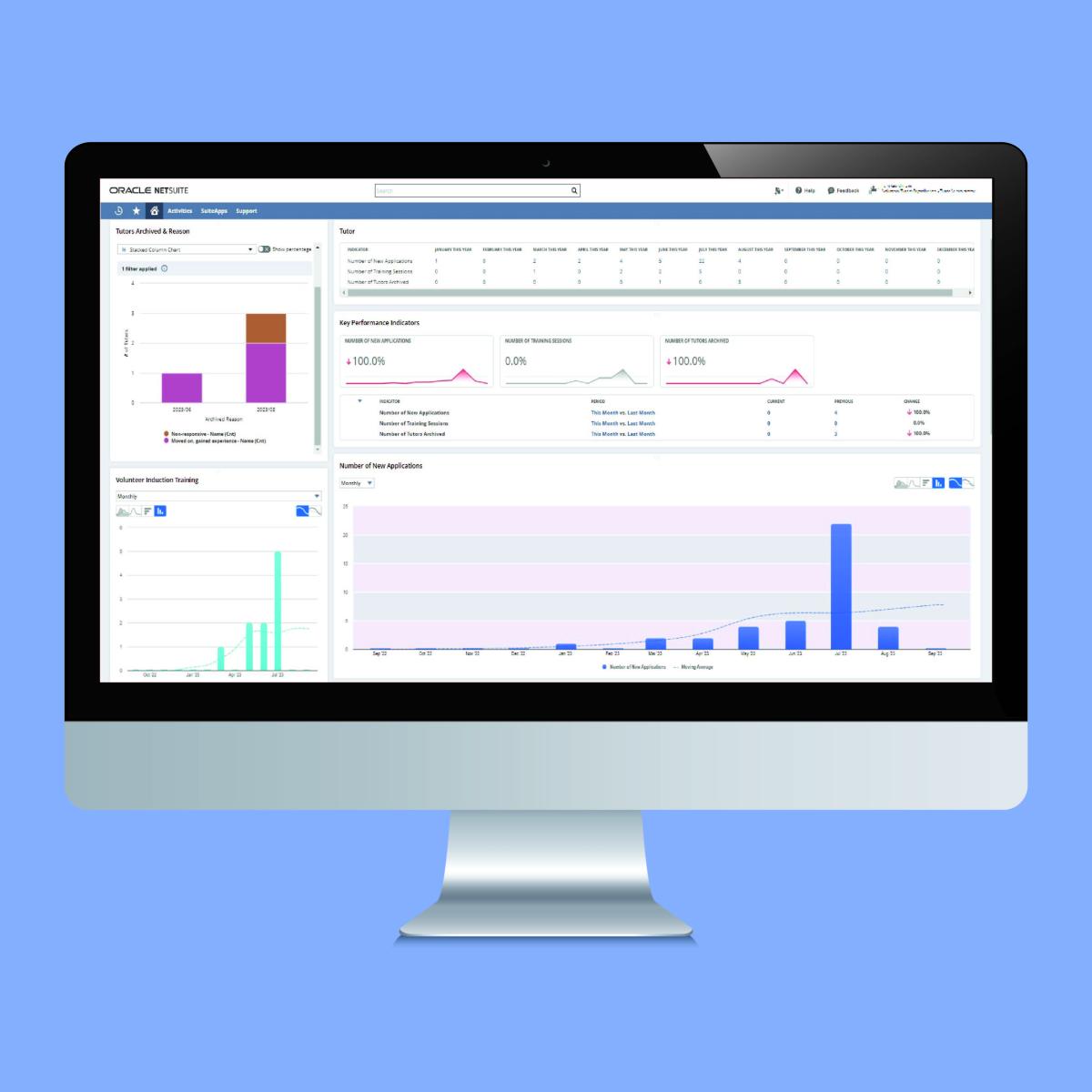 Data Visualisation and NetSuite